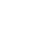 Somerset t20