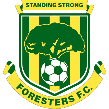 Team Badge