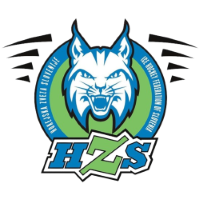 Former team badge icon