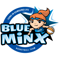 Former team badge icon