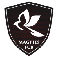 Former team badge icon