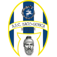 Former team badge icon