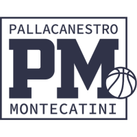 Former team badge icon