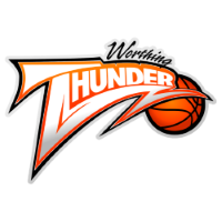 Former team badge icon