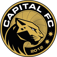 Former team badge icon