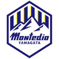 Former team badge icon