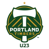 Former team badge icon