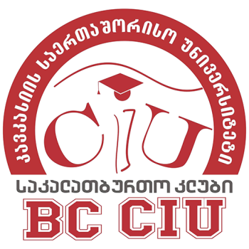 Team Badge