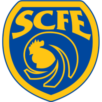 home team badge