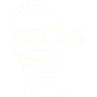 Former team badge icon