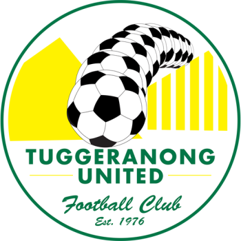 home team badge