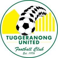 Team Badge