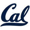 Team badge