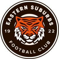 Former team badge icon