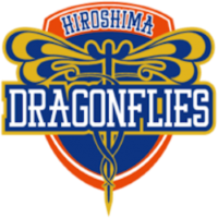 Former team badge icon