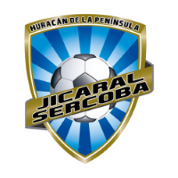 Former team badge icon