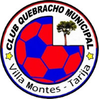 Former team badge icon