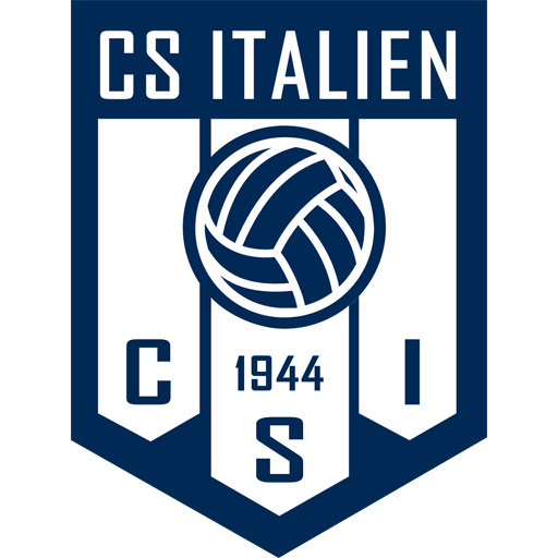 Team Badge icon