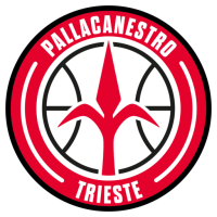 Former team badge icon