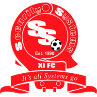Security Systems badge