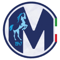Former team badge icon
