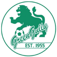 Former team badge icon