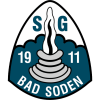tiny home badge icon