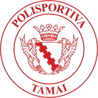 Team Badge