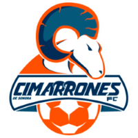 Former team badge icon