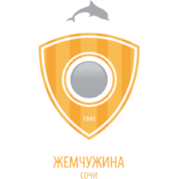 Former team badge icon