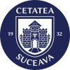 Cetatea Suceava badge