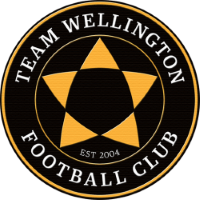 Former team badge icon