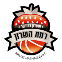 Former team badge icon