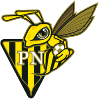 Team Badge
