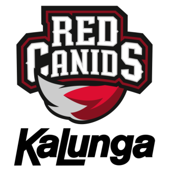 Team Badge