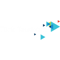 Former team badge icon