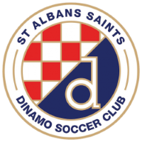 Former team badge icon