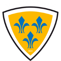 Team Badge