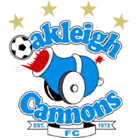Former team badge icon