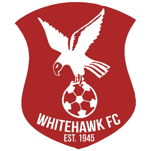Whitehawk