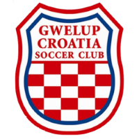 Former team badge icon