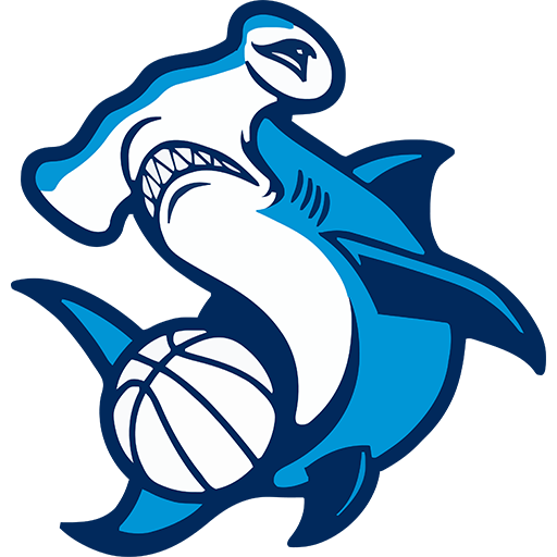 Team Badge icon