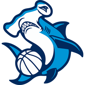 team badge