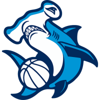 Former team badge icon