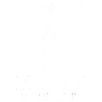 Former team badge icon