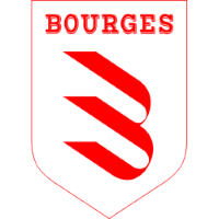 Team Badge
