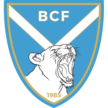 team badge
