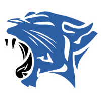 Former team badge icon