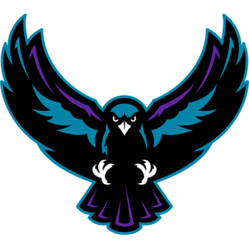 Team Badge