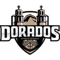 Former team badge icon